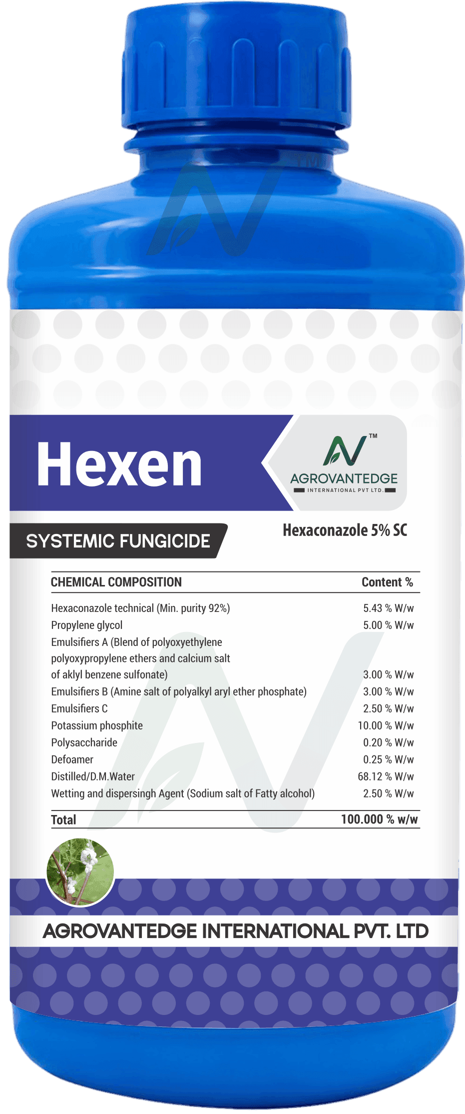 Hexen